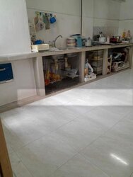 Blk 1 MARSILING DRIVE (Woodlands), HDB 3 Rooms #502148861